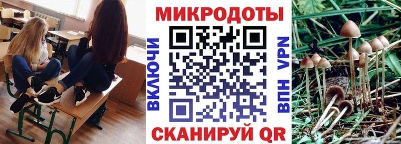 Псилоцибиновые грибы Cubensis Талица